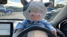 Toyota Yaris 1.5 Hybrid Excel 5dr CVT Hybrid Hatchback